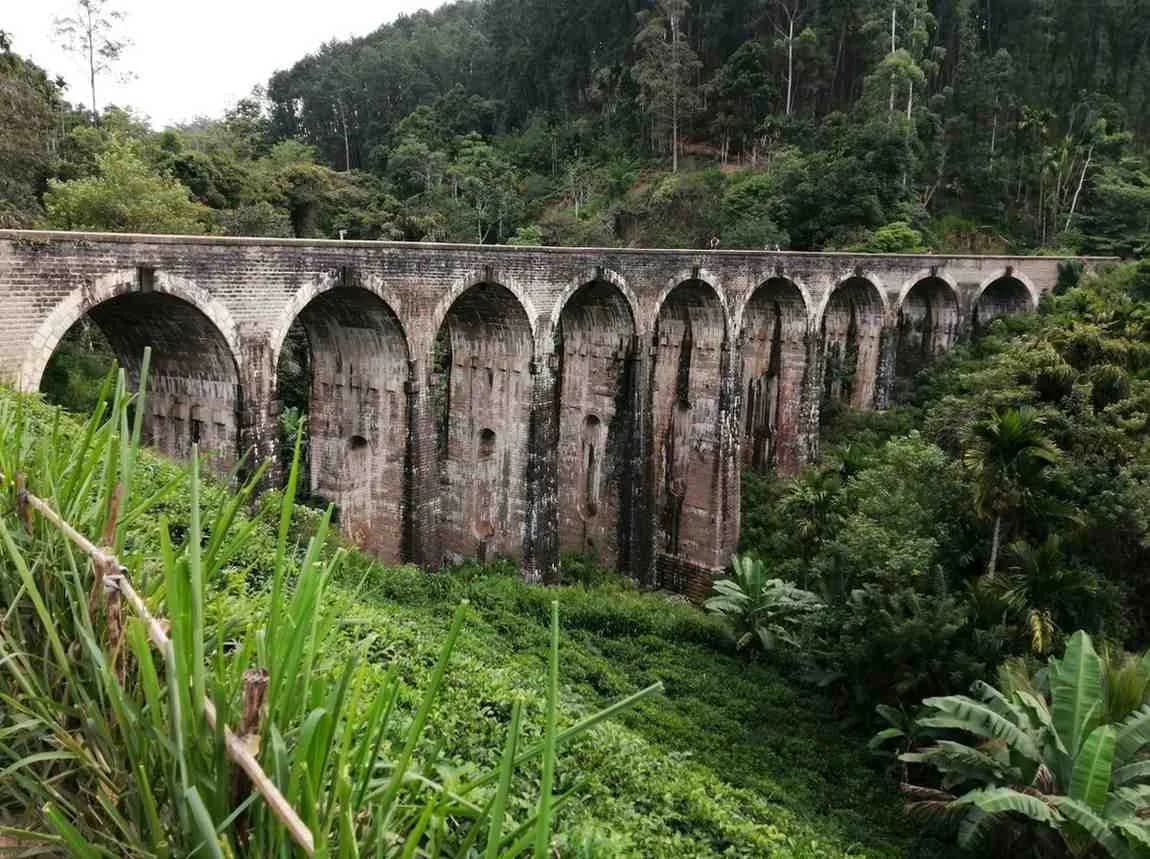 Private Transfer & Taxi to Nuwara Eliya (Little England) Sri Lanka